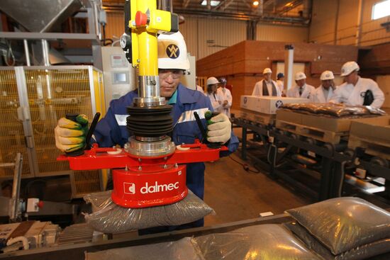 Wheelabrator Allevard Kurgan plant