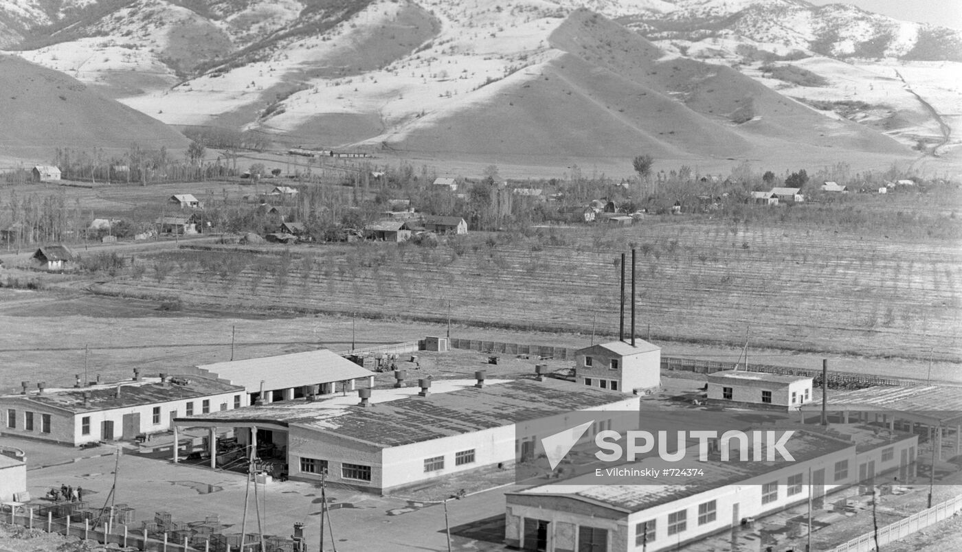 Achi forestry farm Nut and Fruit Processing Factory