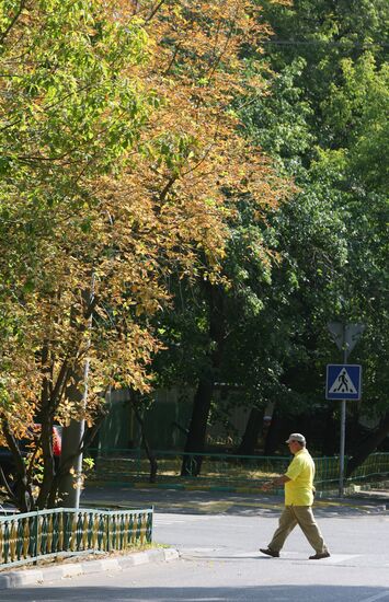 Foliage grows yellow in Moscow because of abnormal heat