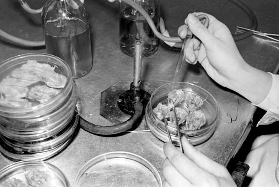 Moscow Research Institute of Viral Medicines