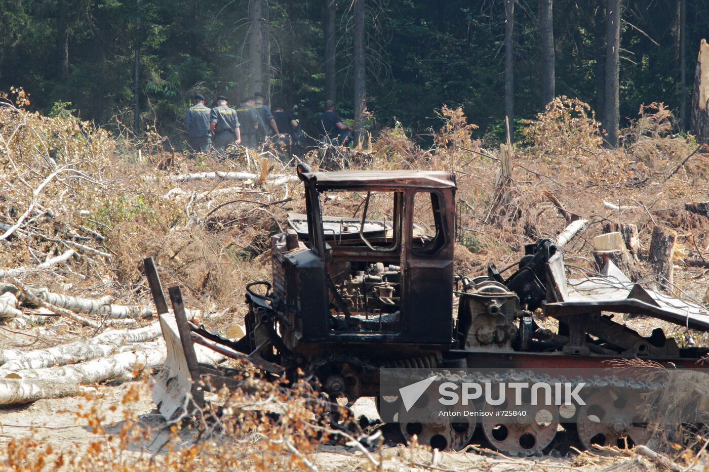Khimki forest amidst environmental protests