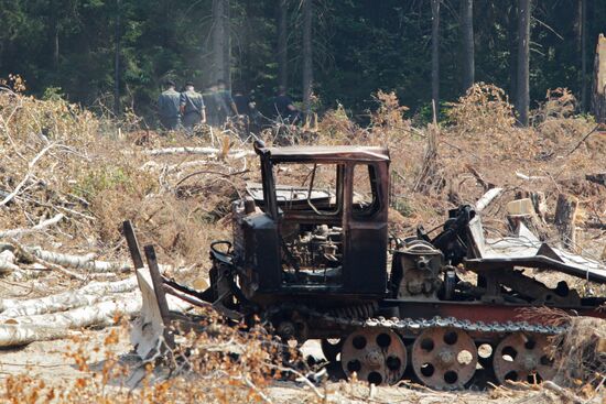 Khimki forest amidst environmental protests