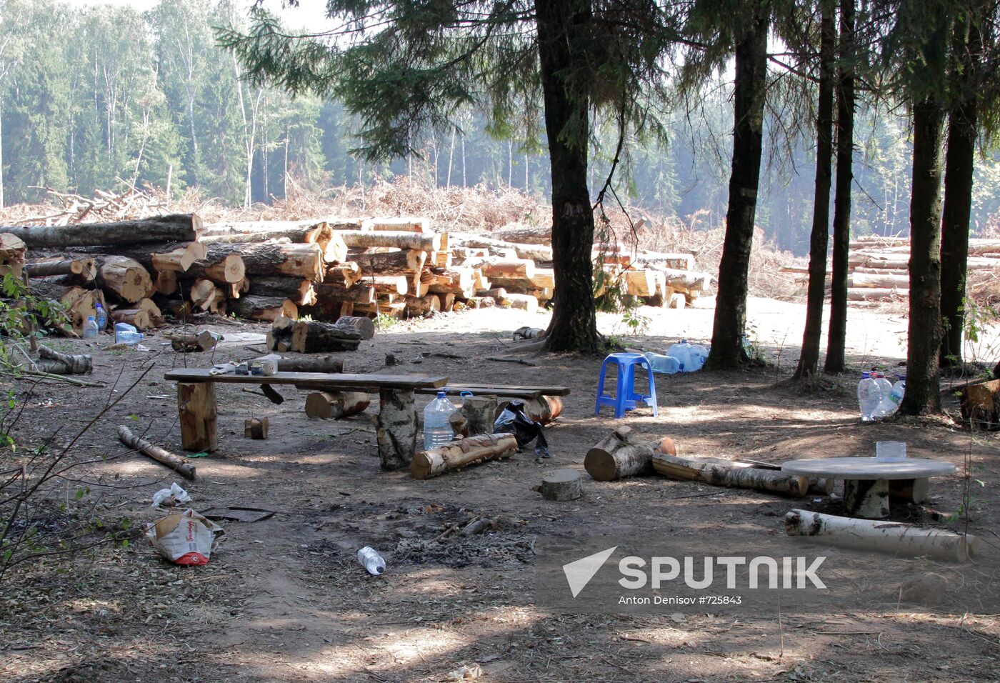 Khimki forest amidst environmental protests