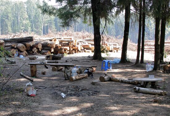 Khimki forest amidst environmental protests