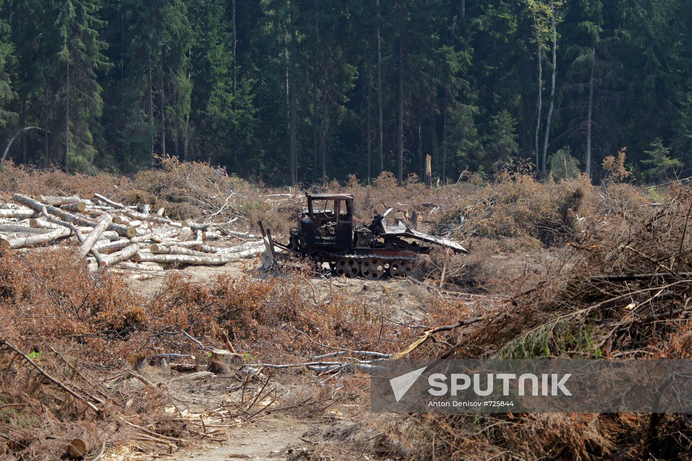 Khimki forest amidst environmental protests