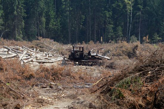 Khimki forest amidst environmental protests