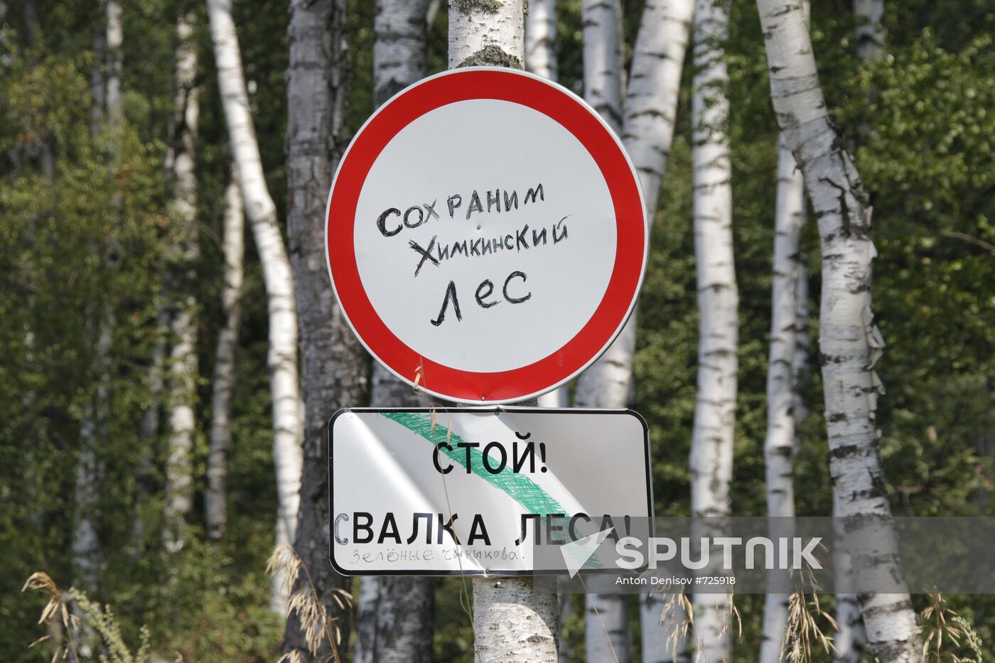 Khimki forest amidst environmental protests