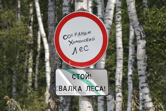 Khimki forest amidst environmental protests