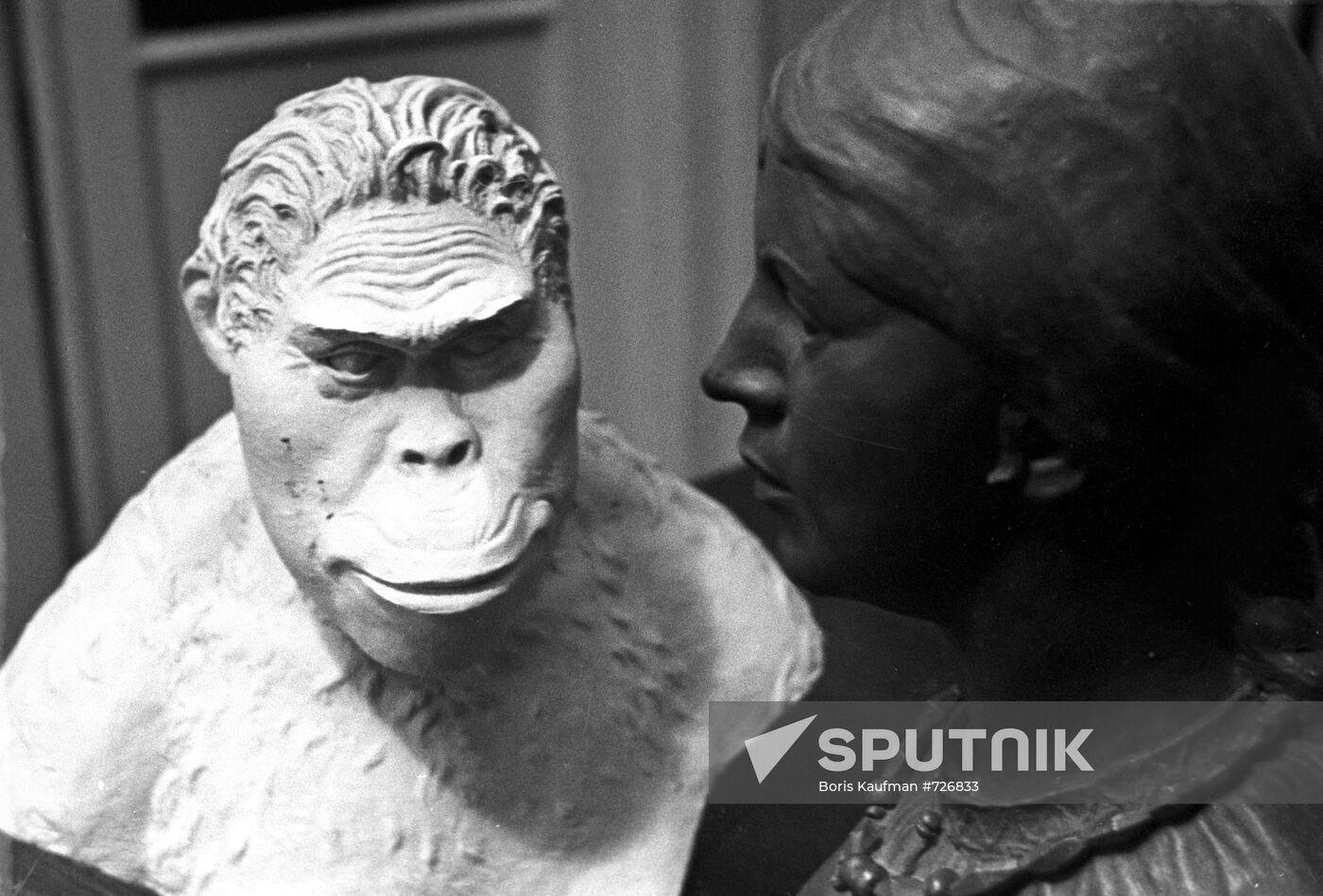 Portraits of two women -- Paranthropus and from Vyatichi tribes
