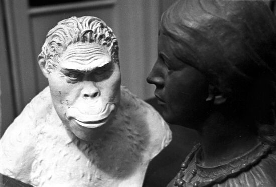 Portraits of two women -- Paranthropus and from Vyatichi tribes