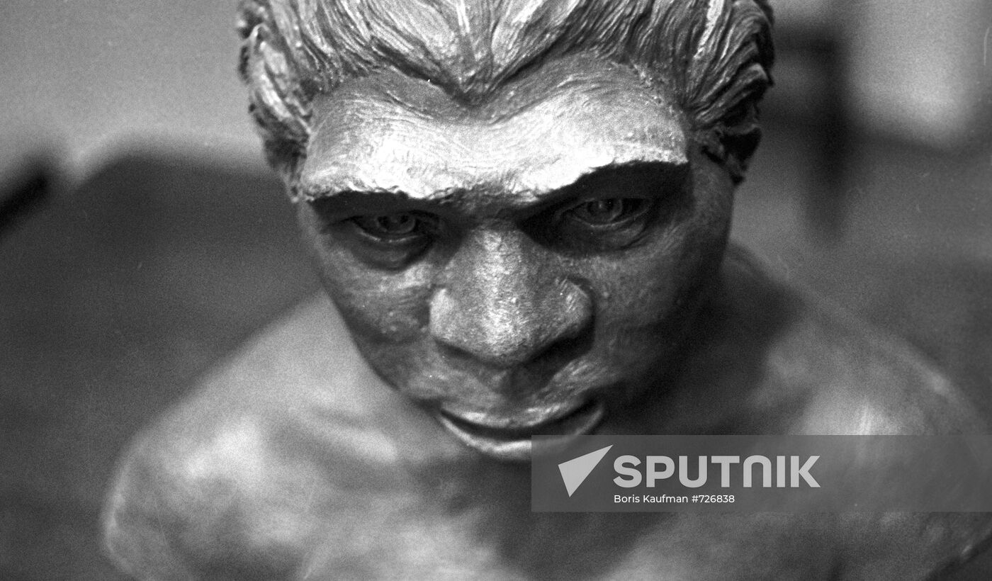 Sculptural portrait of woman who lived 41,000 years ago