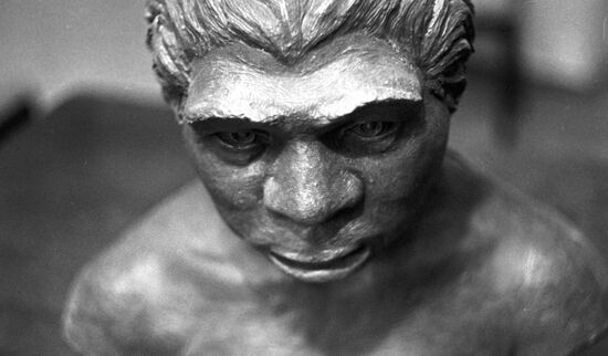 Sculptural portrait of woman who lived 41,000 years ago