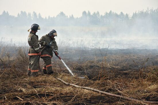 Peat bog fires fought in Noginsk District