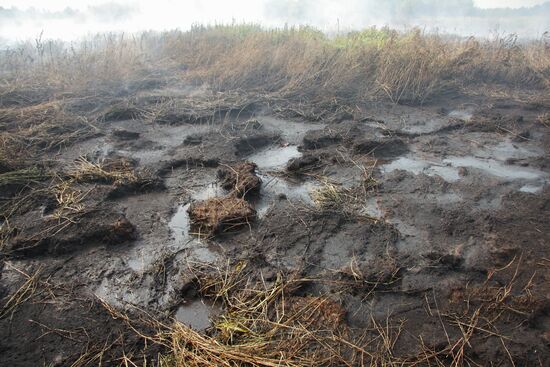Peat bog fires fought in Noginsk District