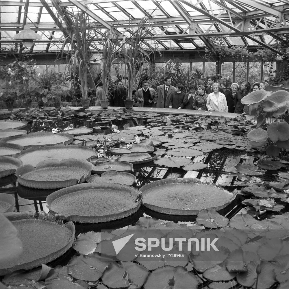 Botanical Garden greenhouse