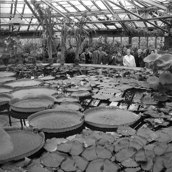Botanical Garden greenhouse