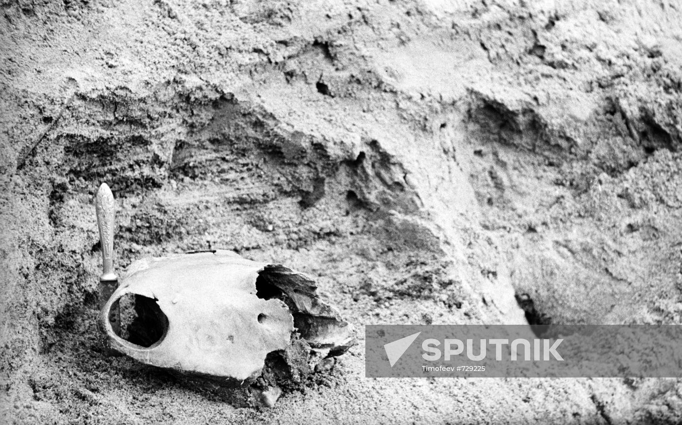 Archeological excavation at Byzovaya settlement