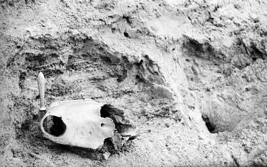 Archeological excavation at Byzovaya settlement