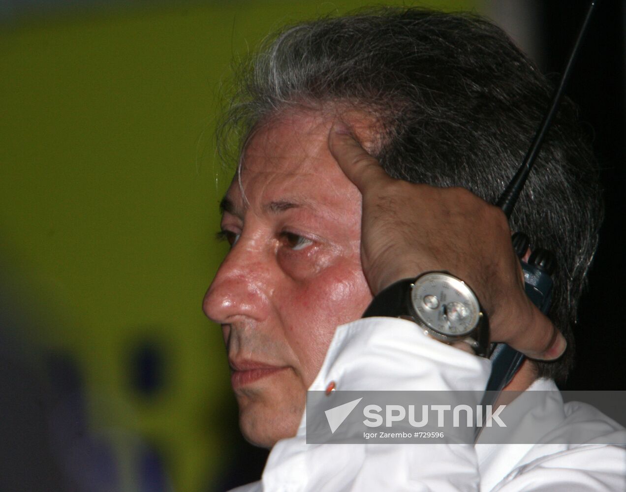 Alexander Revzin
