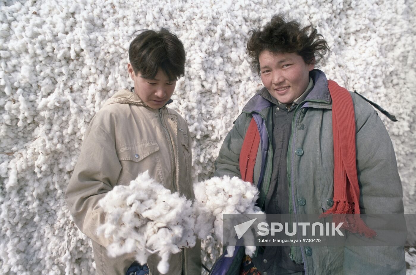 Uzbekistan. Cotton