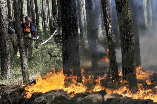 Battling wildfire near Maslovka village