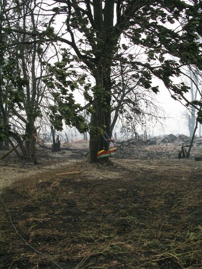 View of the burnt down village of Verkhnyaya Vereya
