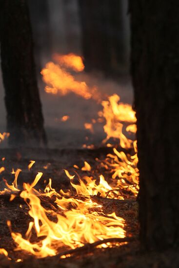 Fire in Voronezh