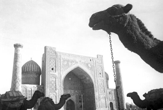 Streets of Samarkand
