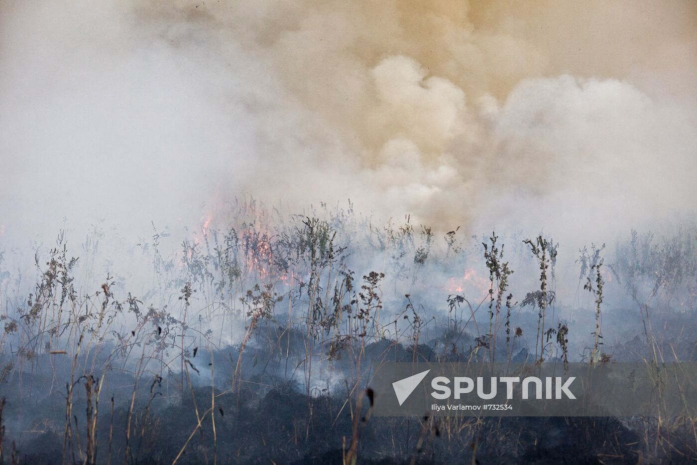 Forest fires in Moscow Region