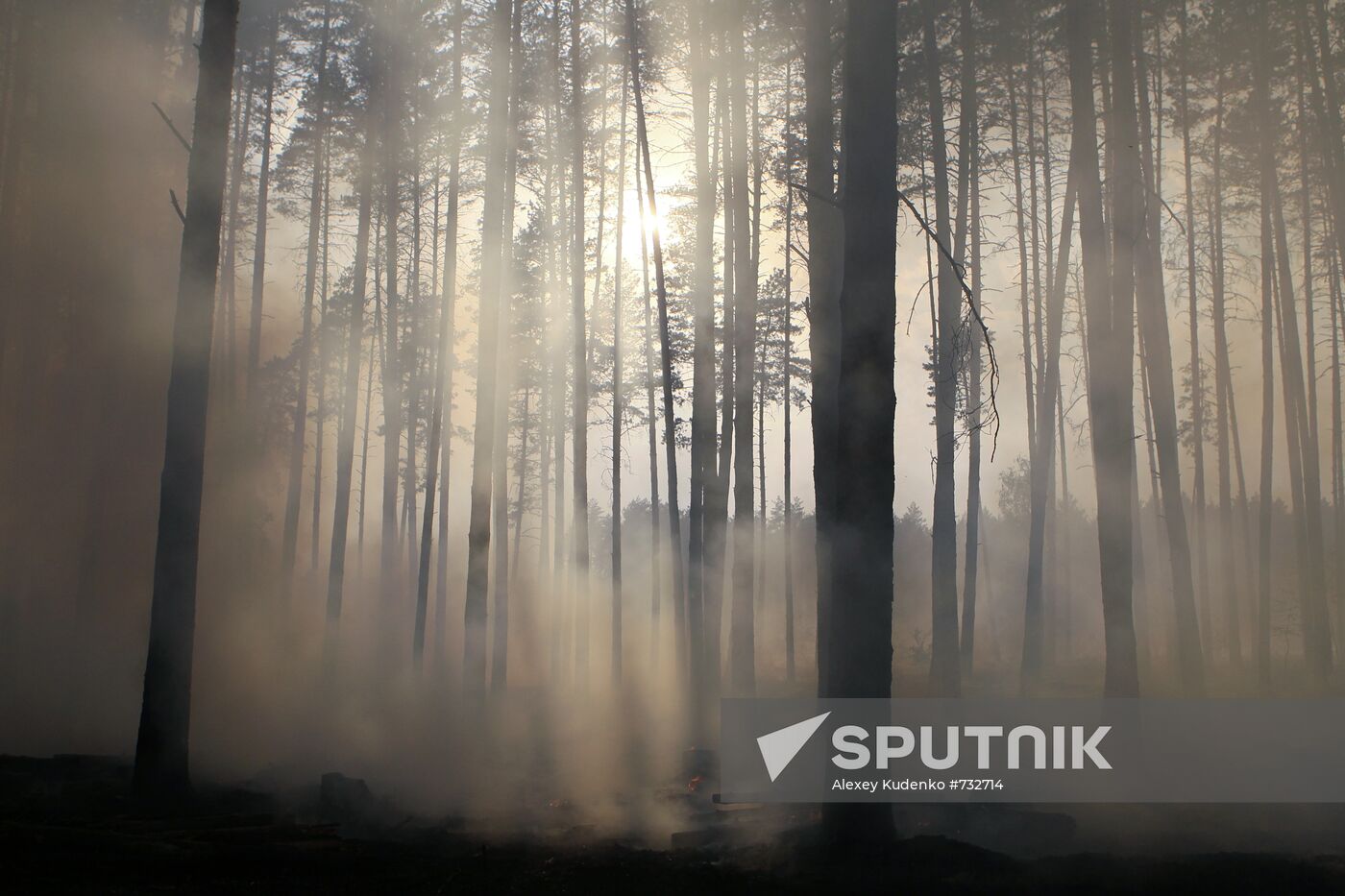 Forest fires in Voronezh Region