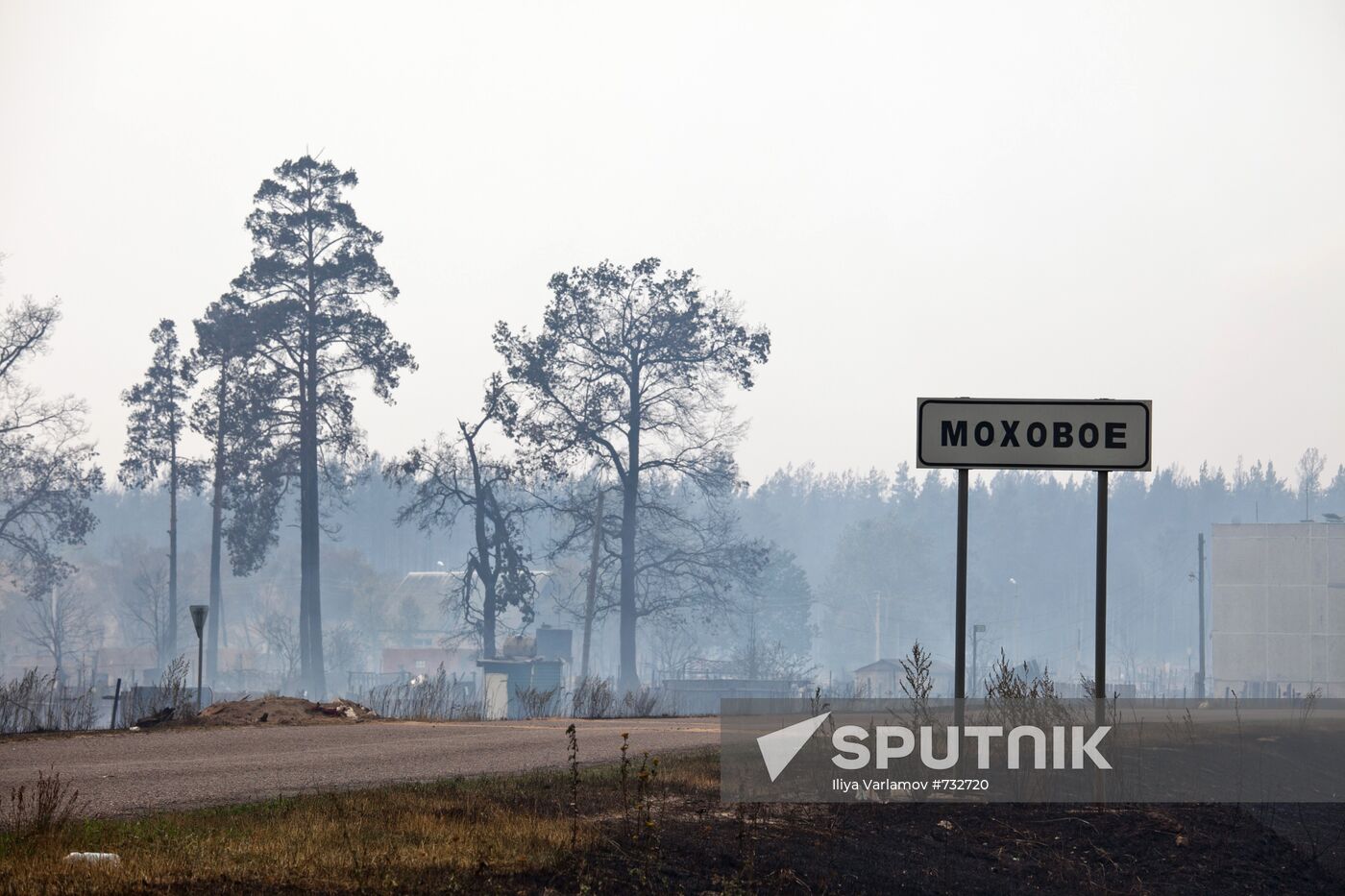 Forest fires in Moscow Region