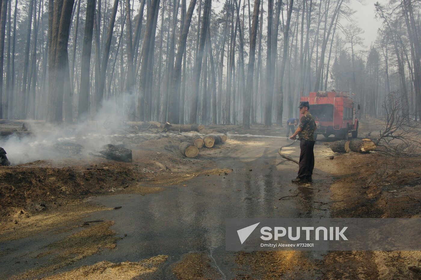 Forest fires in Tolyatti