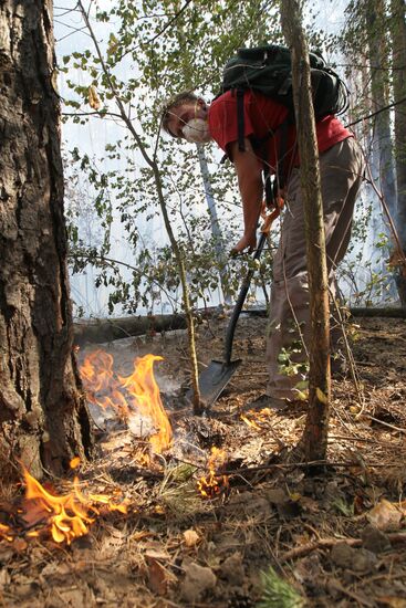 Forest fires being extinguished in Voronezh Region