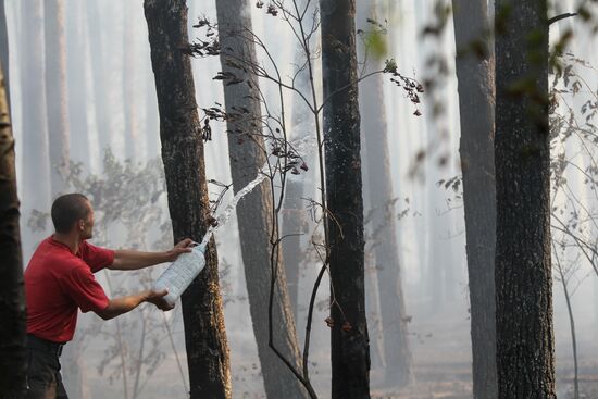 Forest fires being extinguished in Voronezh Region