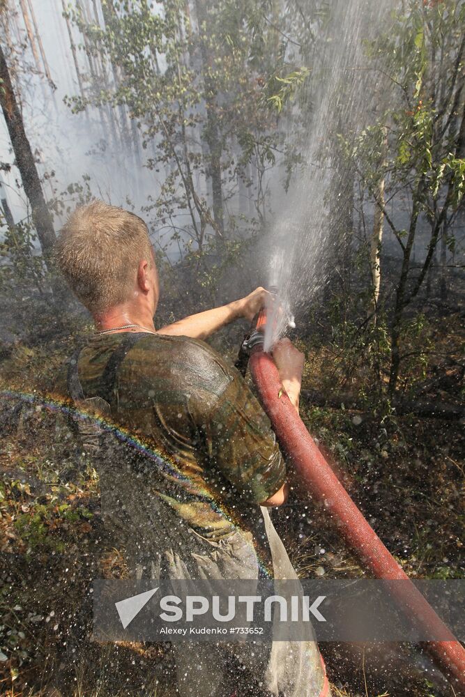 Fire crew battling forest blaze near village of Sosnovy Bor