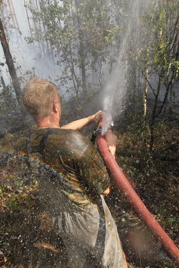 Fire crew battling forest blaze near village of Sosnovy Bor