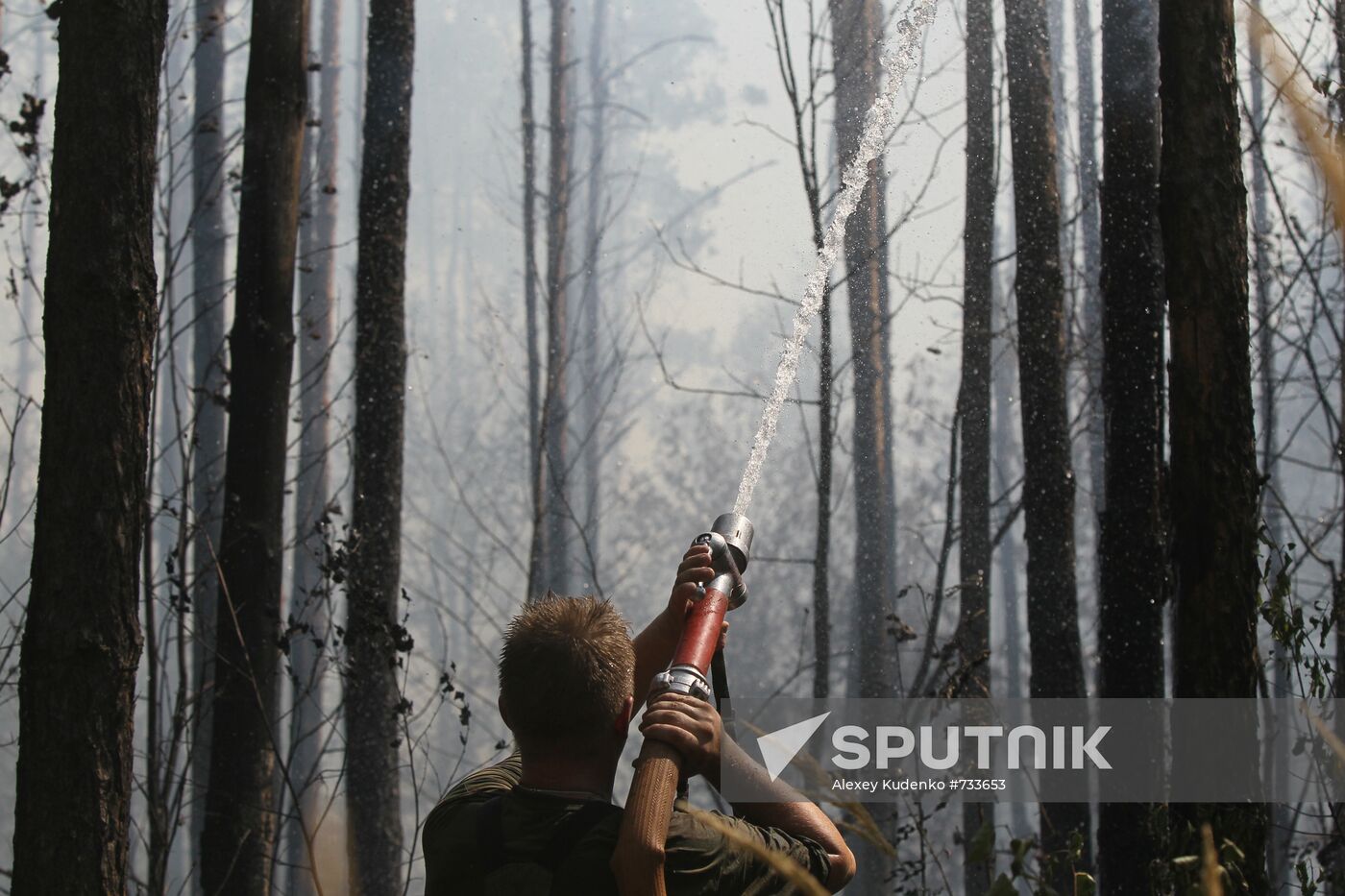 Firemen battling forest blaze near village of Sosnovy Bor