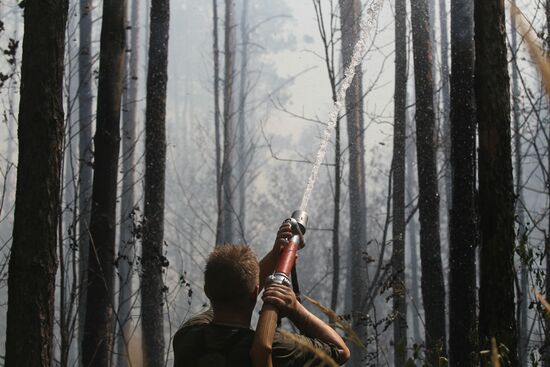Firemen battling forest blaze near village of Sosnovy Bor