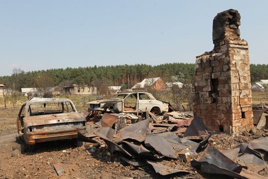 Burnt down houses in Shuberskoye village 10 km from Voronezh