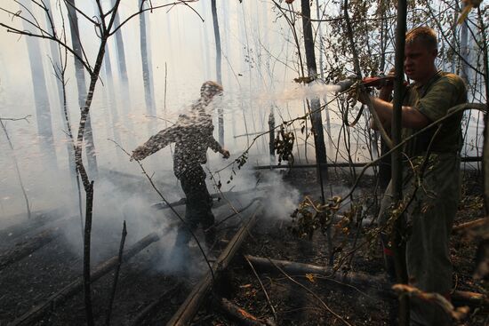 Fire crew battling forest blaze near village of Sosnovy Bor