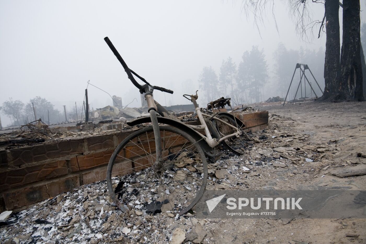 Ryazan Region hit by massive wildfires