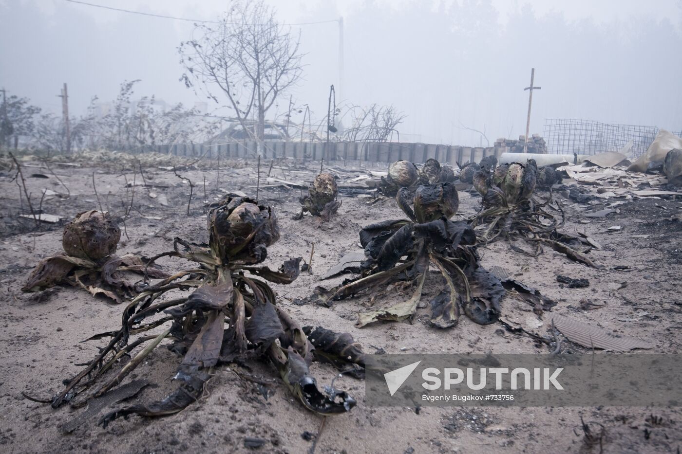 Ryazan Region hit by massive wildfires