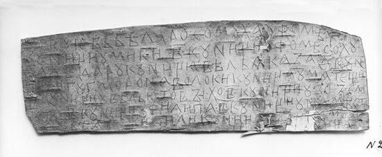 Fragment of a birch bark document