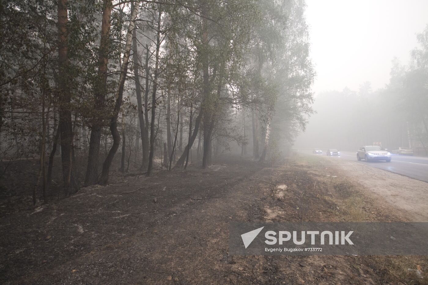 Ryazan Region hit by massive wildfires