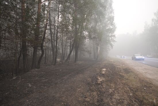 Ryazan Region hit by massive wildfires