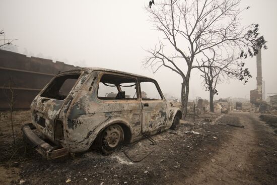 Ryazan Region hit by massive wildfires