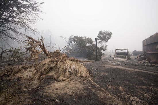 Ryazan Region hit by massive wildfires