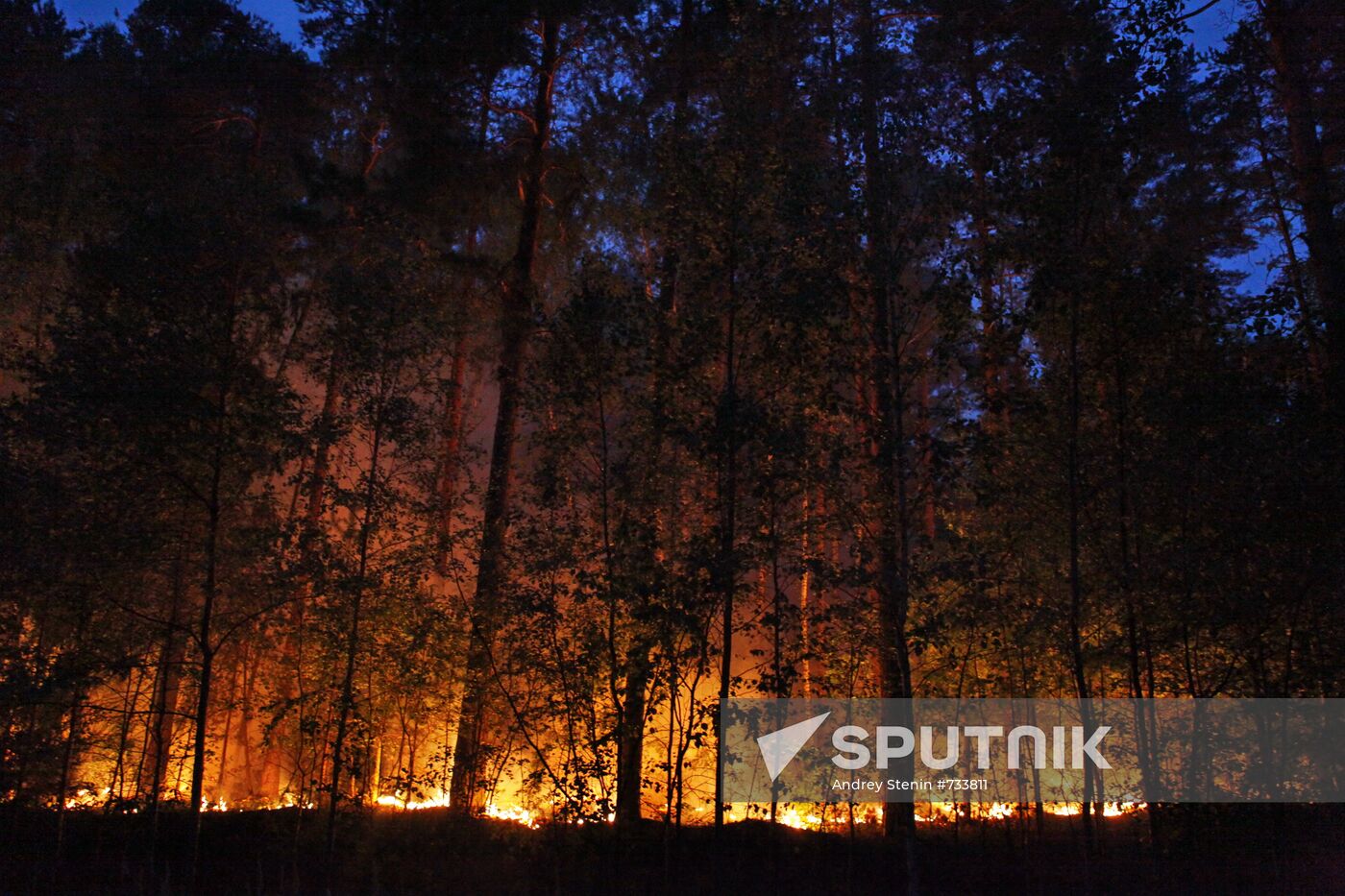 Moscow Region hit by wildfires