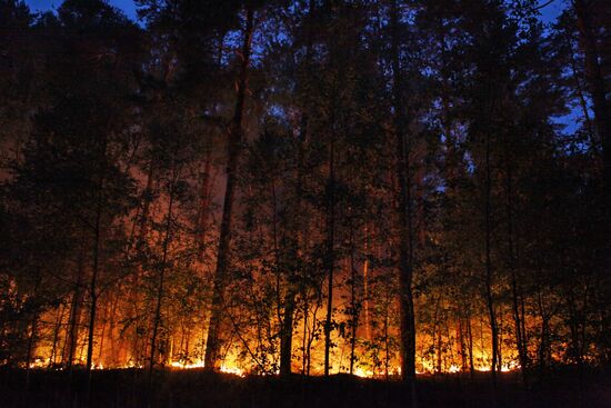Moscow Region hit by wildfires