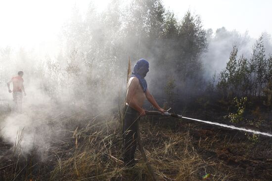 Moscow Region hit by wildfires